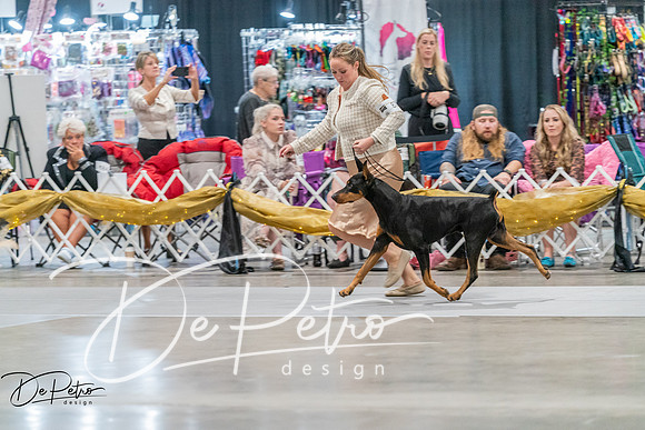 20260927-DSC05354
