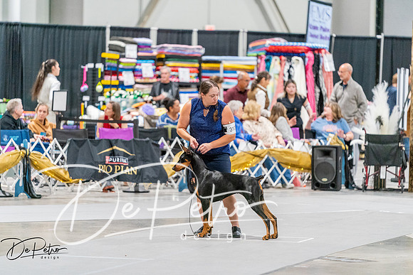 20261002-DSC07439