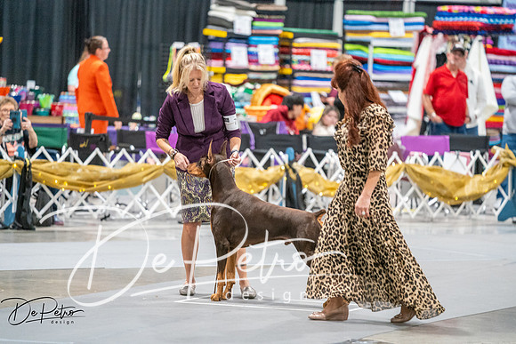 20260926-DSC04322