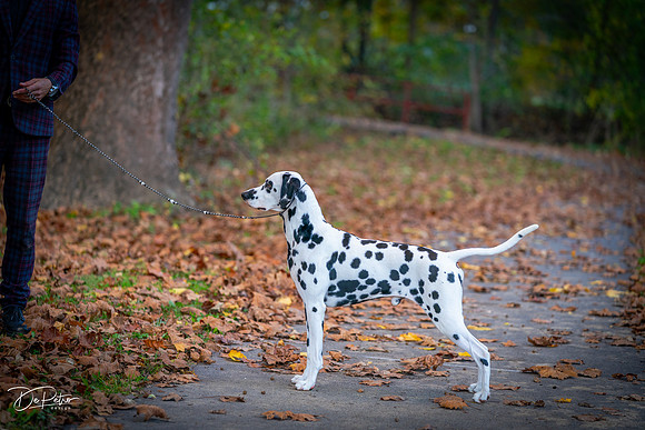 20261017-DSC09175
