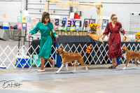20261023-DSC04900