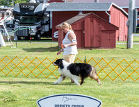 20230513-DSC01183