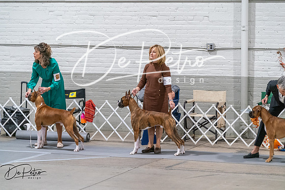 20261023-DSC04805