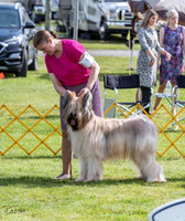 20230513-DSC01238