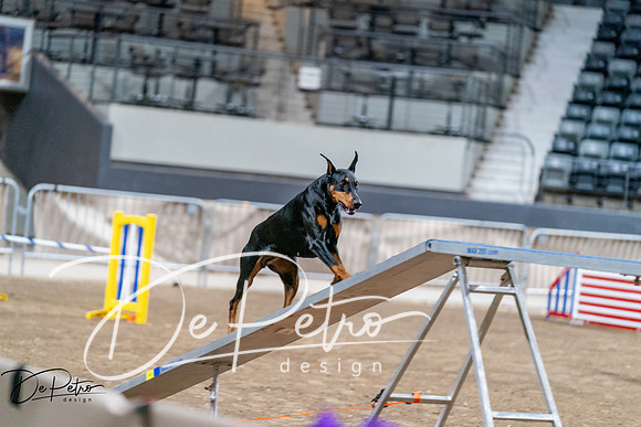 20260929-DSC06488