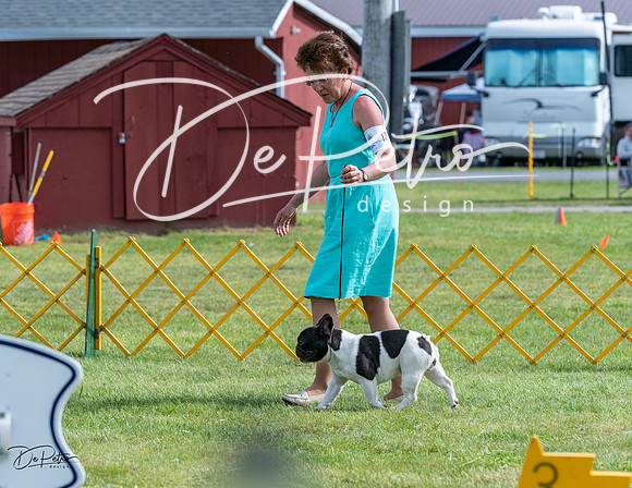 20230513-DSC00381