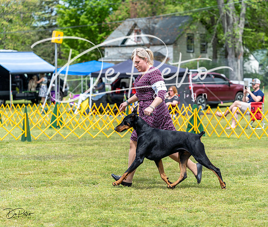 20230513-DSC08150