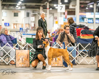 20261022-DSC01553