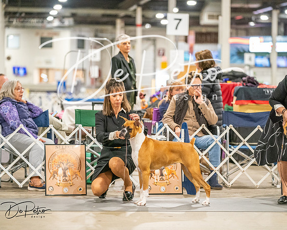 20261022-DSC01553