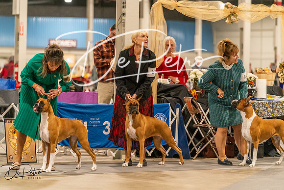 20261023-DSC05478