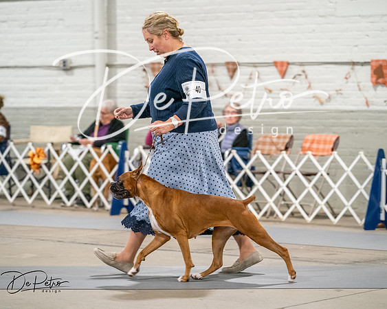 20261022-DSC03201