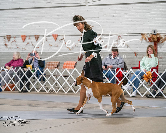 20261022-DSC03042