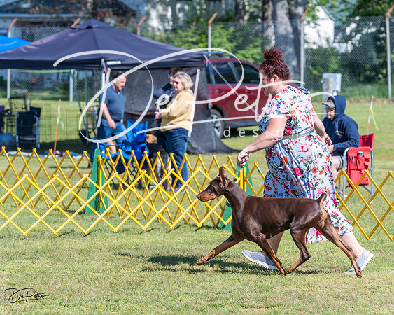 20230514-DSC03172