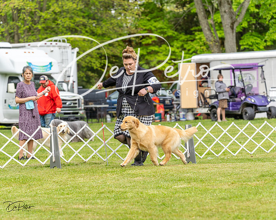 20230427-DSC03583