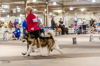 20230331-DSC05367