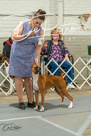 20261023-DSC04975