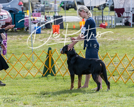 20230513-DSC00790