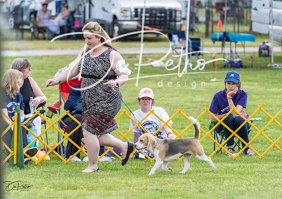 20230512-DSC03808
