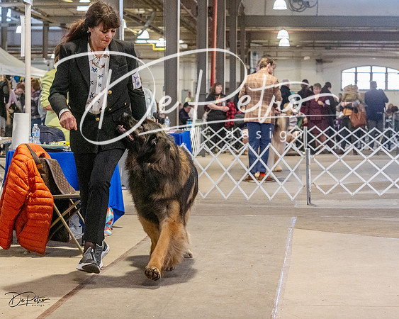 20230402-DSC09337