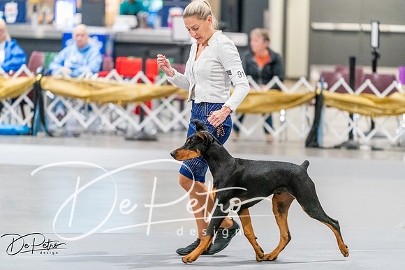 20260930-DSC06789