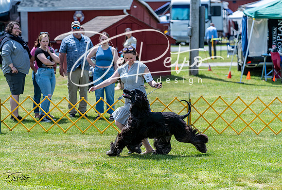20230513-DSC09157