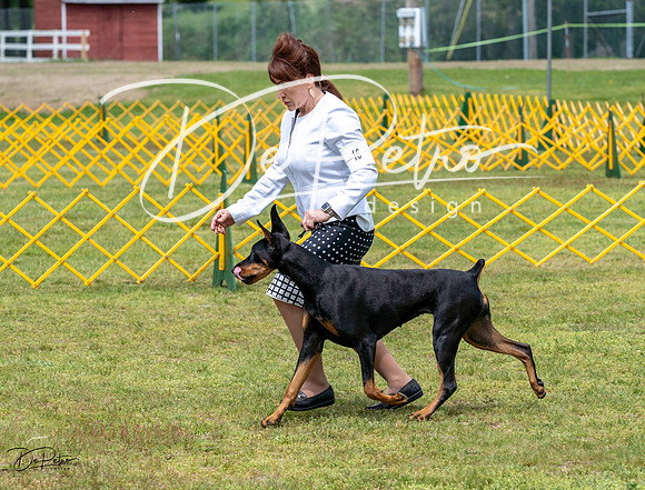 20230513-DSC08333