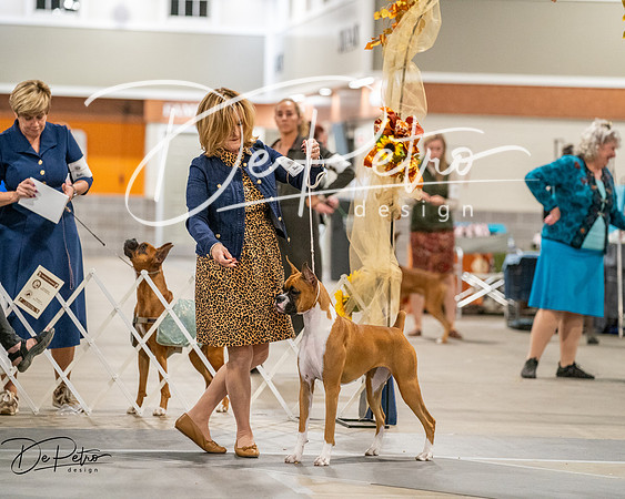 20261022-DSC03069