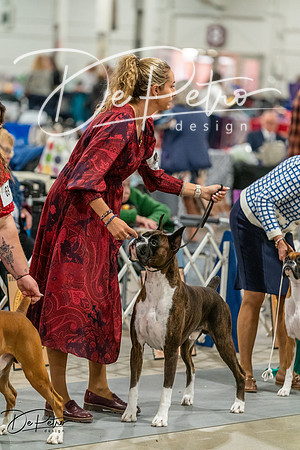 20261023-DSC05509
