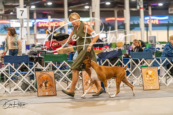 20261023-DSC05430