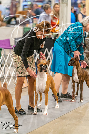 20261022-DSC00361