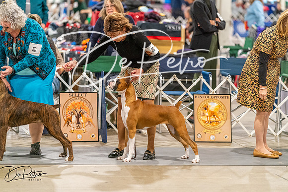 20261022-DSC00236