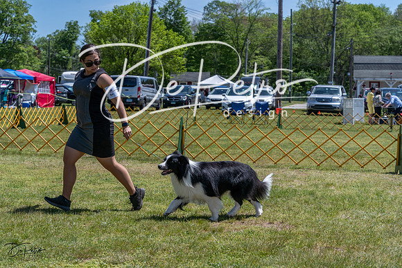 20230514-DSC04917