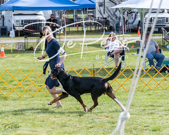 20230513-DSC00506