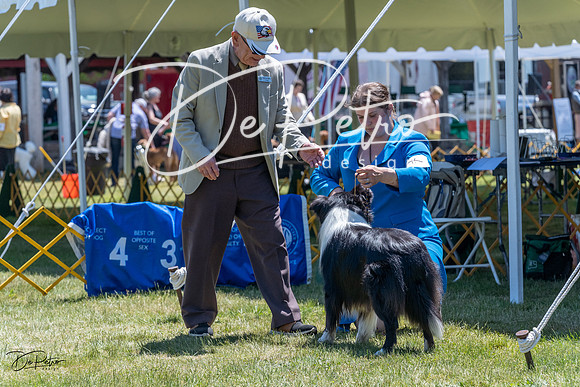 20230514-DSC04944