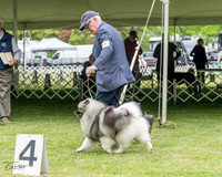 20230427-DSC05365