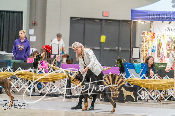 20260927-DSC05097