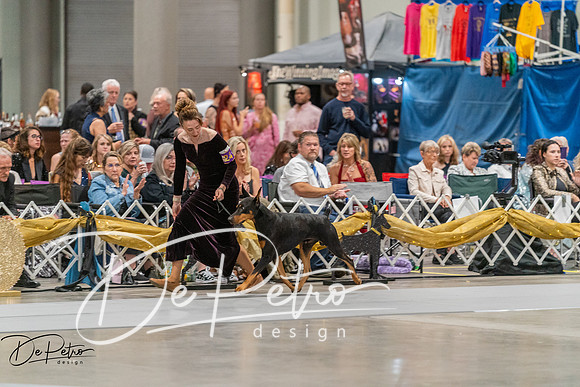 20260928-DSC06105