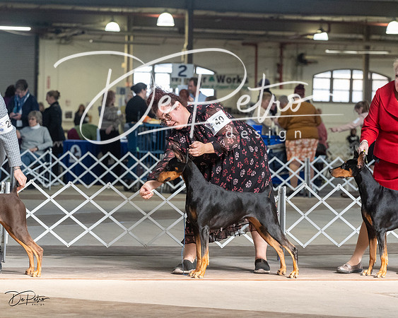 20230402-DSC08925