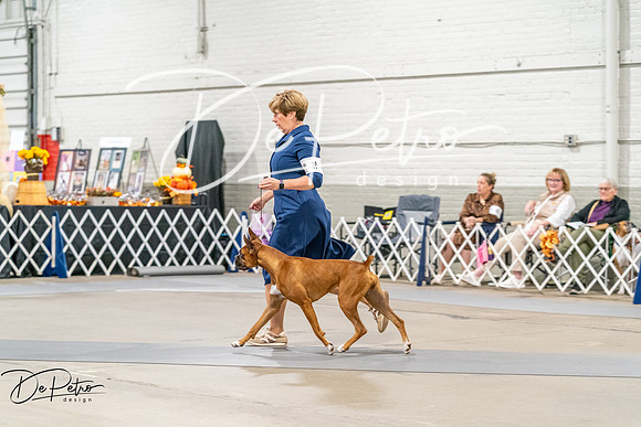 20261022-DSC00296