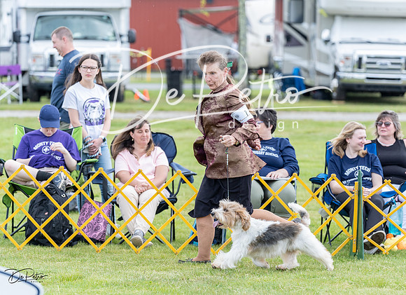 20230512-DSC03775