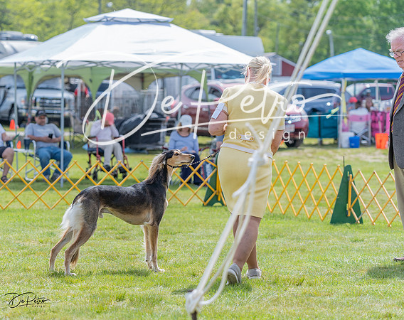 20230513-DSC09555