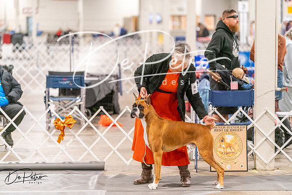 20261024-DSC08417