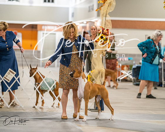 20261022-DSC03064