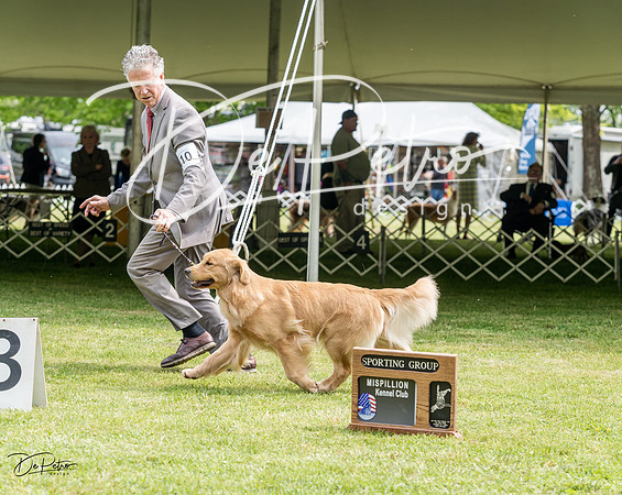 20230427-DSC06016