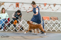 20261022-DSC00007