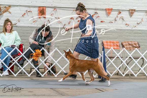 20261022-DSC00007