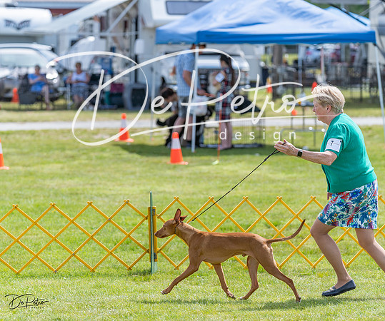 20230513-DSC09609