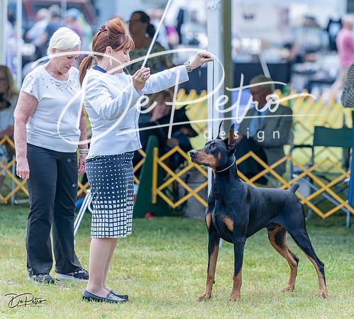 20230513-DSC08853