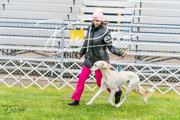 20240428-DSC08388