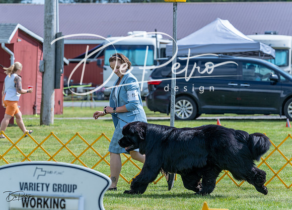20230512-DSC05182